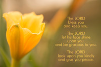 The Lord Bless You and Keep You