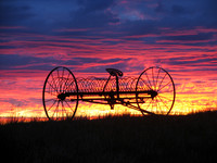 SUNRISE RAKE BLUE IMG_4552