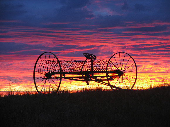 SUNRISE RAKE BLUE IMG_4552
