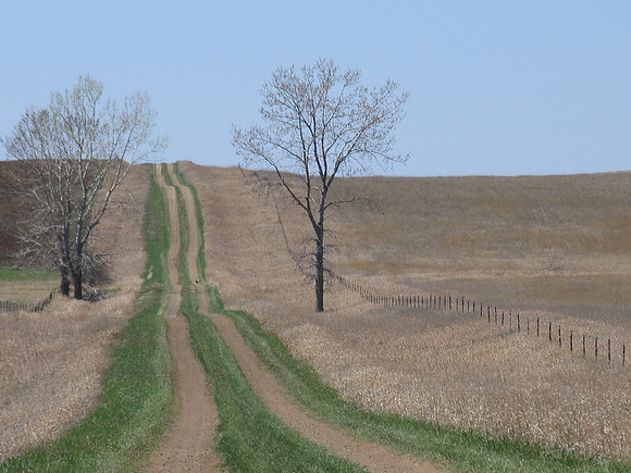 ROAD IMG_7804