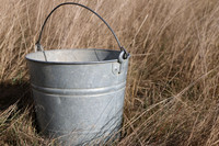 BUCKET IMG_3385