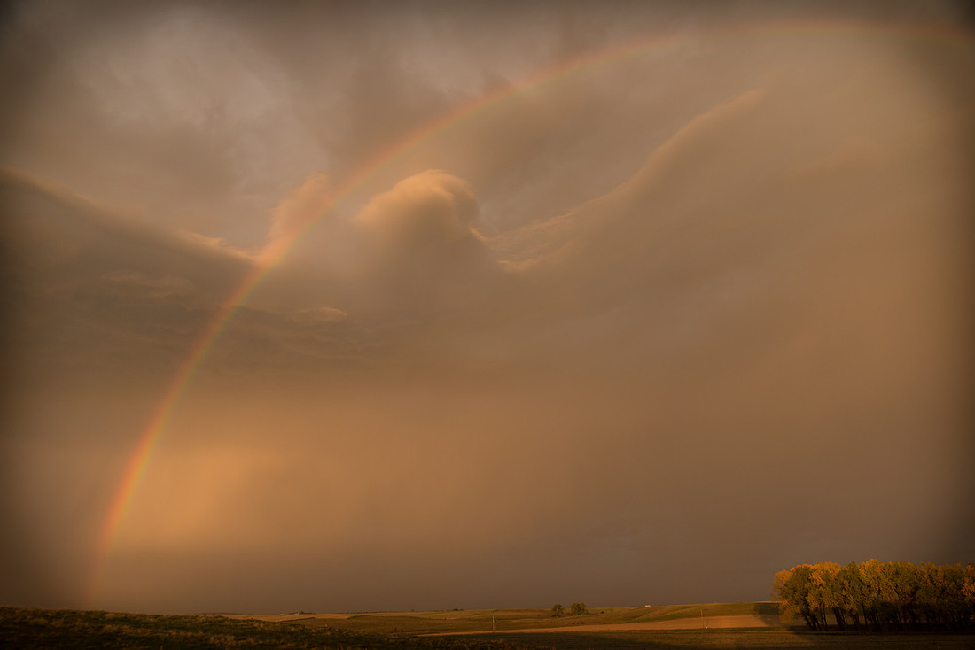 RAINBOW IMG_077