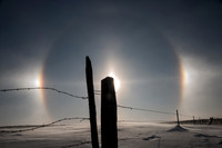 SUNDOG WITH FENCE IMG _0332