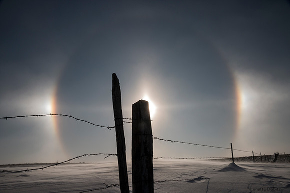 SUNDOG WITH FENCE IMG _0332