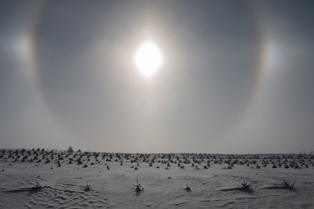 SUNDOG IMG_1185