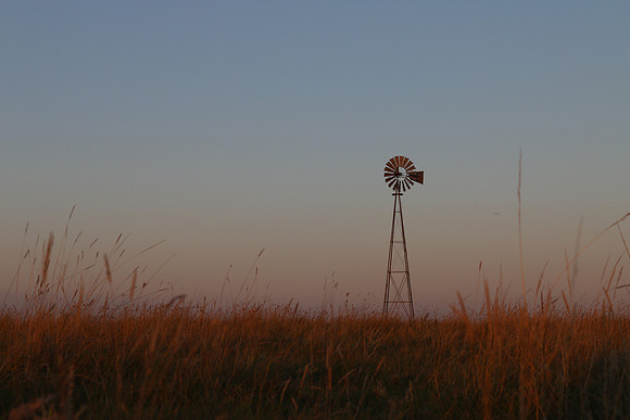 WINDMILL IMG_2362