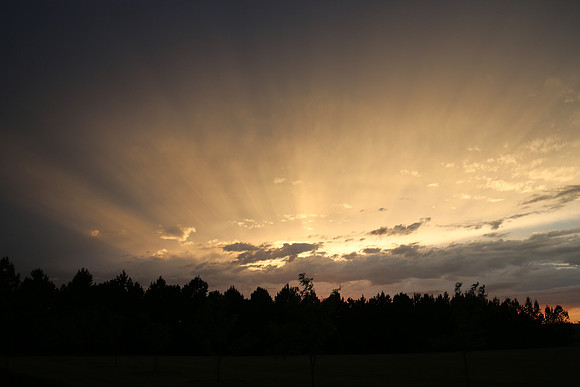 SUNSET IMG_5065