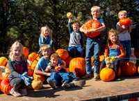 0064 Pumpkin Day Edit Crop